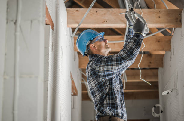 Best Industrial Electrical Services  in Goodhue, MN